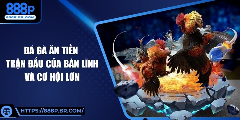 Đá Gà Ăn Tiền – Trận Đấu Của Bản Lĩnh Và Cơ Hội Lớn
